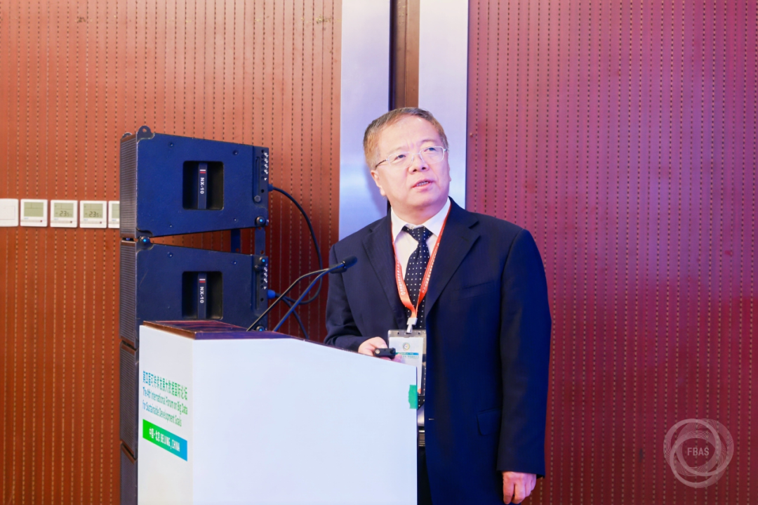 2025澳门2025免费原料网