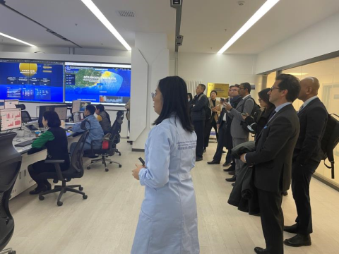 2025澳门2025免费原料网