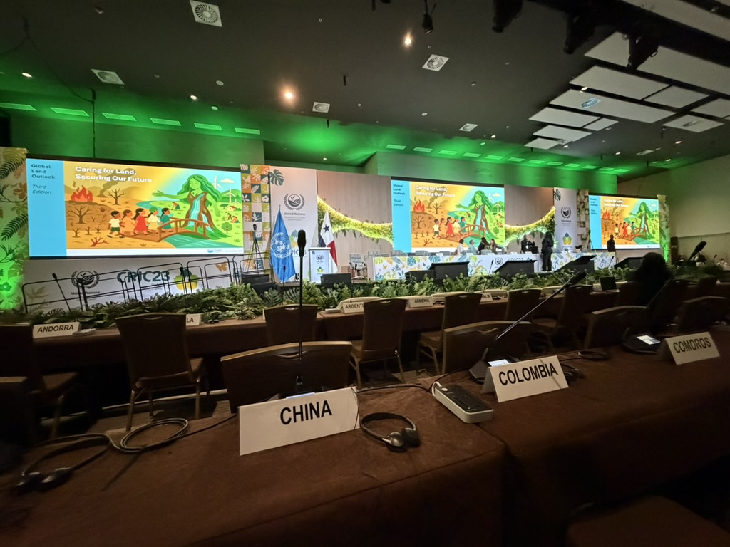 2025澳门2025免费原料网