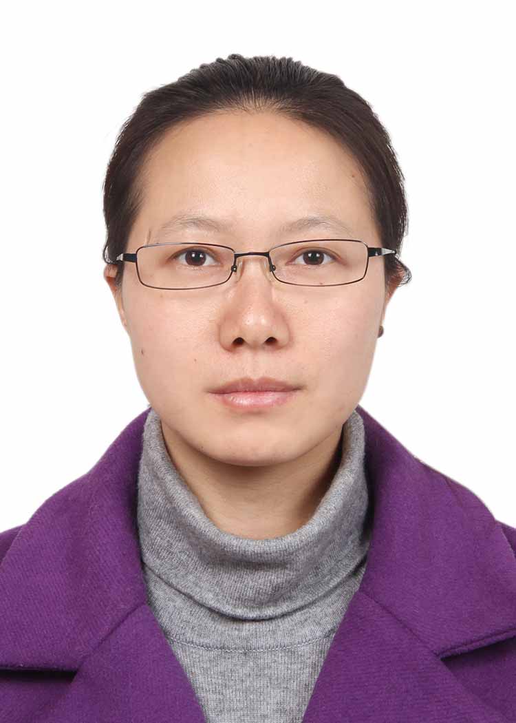 2025澳门2025免费原料网