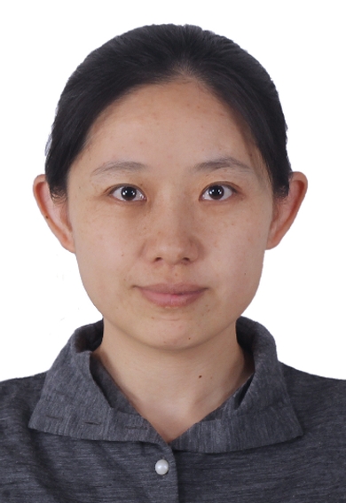 2025澳门2025免费原料网
