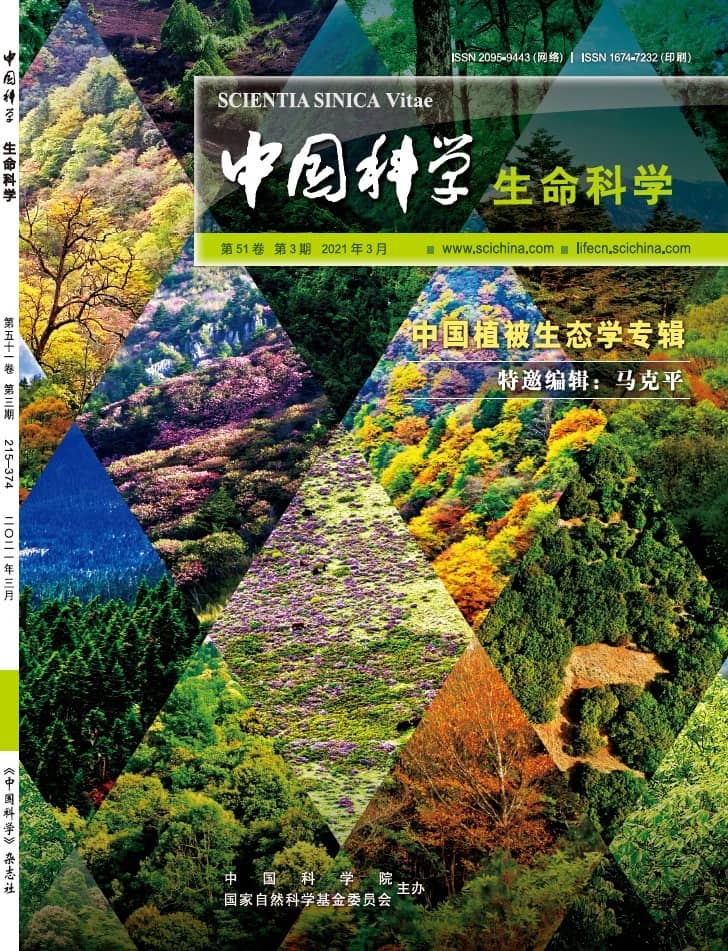 2025澳门2025免费原料网