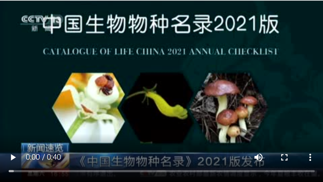 2025澳门2025免费原料网