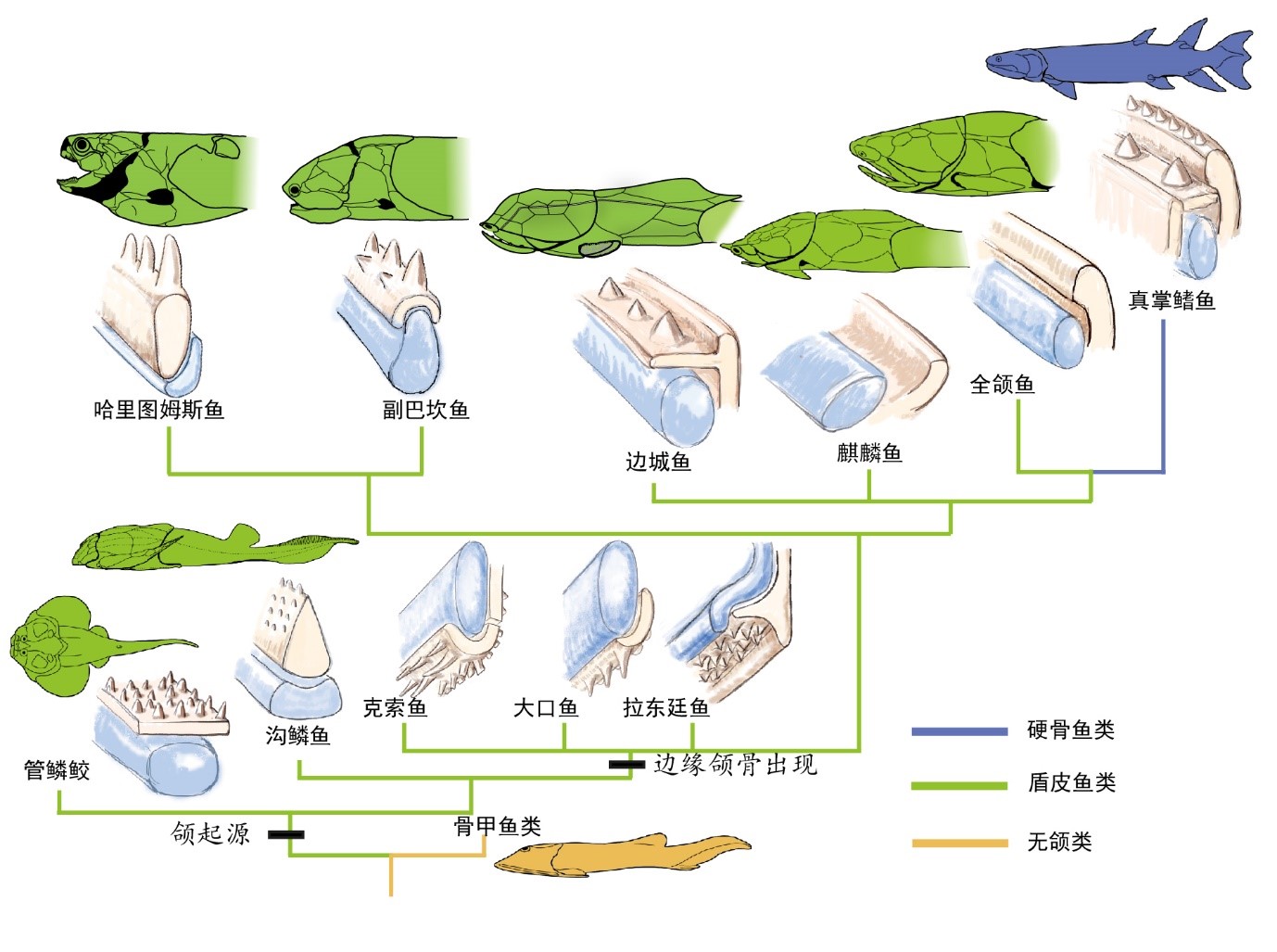 2025澳门2025免费原料网